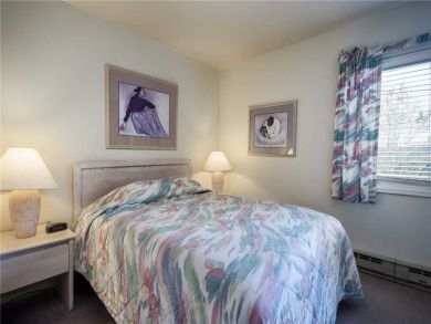 Steamboat Springs Home 928079