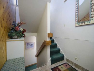 Steamboat Springs Home 928081
