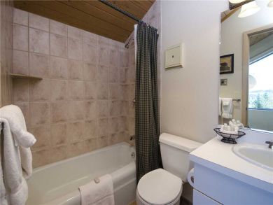 Steamboat Springs Home 928081