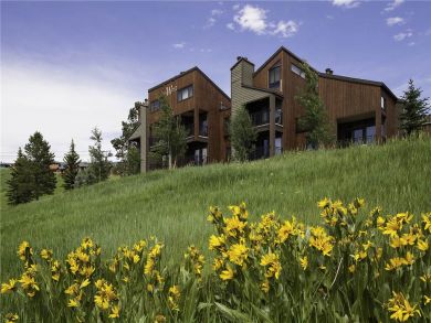 Steamboat Springs Home 928081