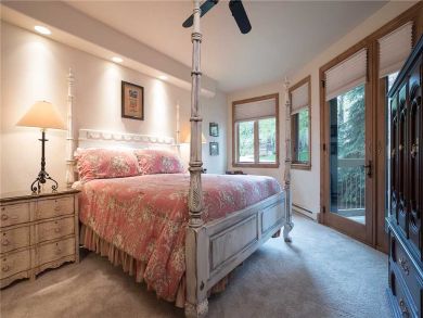Steamboat Springs Home 928082