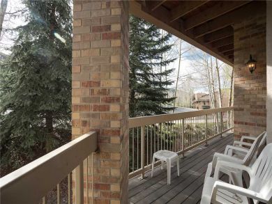 Steamboat Springs Home 928082