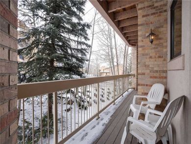 Steamboat Springs Home 928082