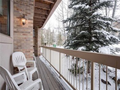 Steamboat Springs Home 928082
