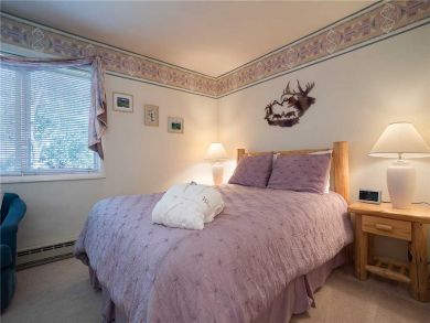 Steamboat Springs Home 928084