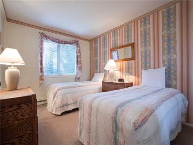 Steamboat Springs Home 928084