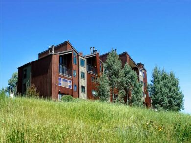 Steamboat Springs Home 928084