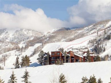Steamboat Springs Home 928084