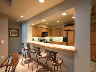 Steamboat Springs Home 928085