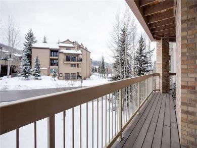 Steamboat Springs Home 928085