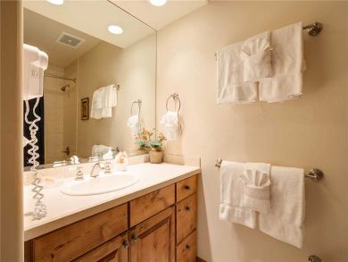 Steamboat Springs Home 928089