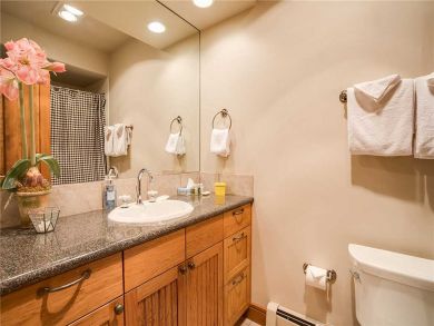 Steamboat Springs Home 928092