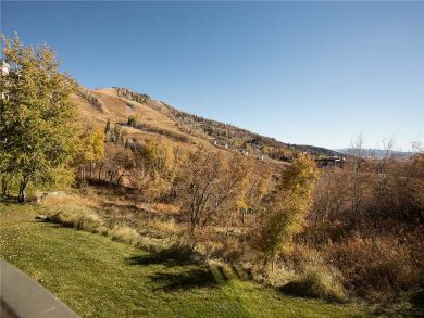 Steamboat Springs Home 928092