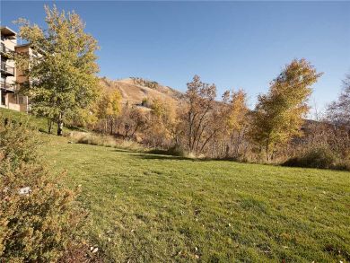 Steamboat Springs Home 928092