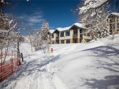 Steamboat Springs Home 928092
