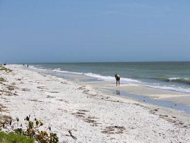 Sanibel Condo 928113