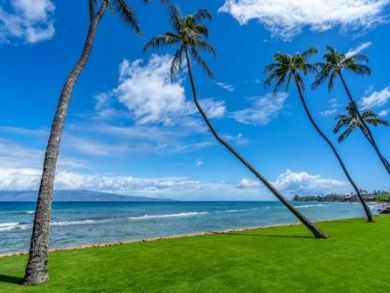 Cozy Two Bedroom Condo in Kaanapali Sleeps Six Guests