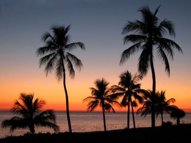 Charming Vacation Rental on Sanibel. Call Today.