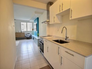 Fort De France Apartment Martinique Modern Interior