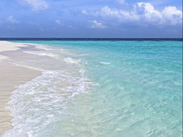 Four Bedroom Vacation Rental Home in Santa Rosa Beach