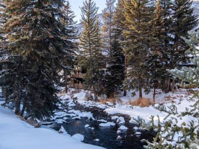 Vail Two Bedroom Apartment Creek View