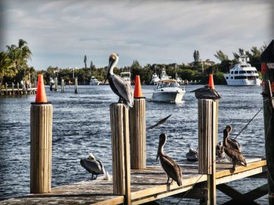 Pompano Beach One Bedroom Rental Condo Sleeps Four Guests