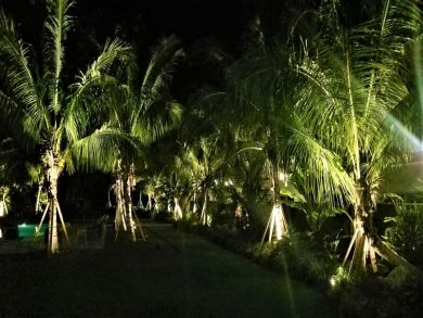 Anna Maria Island Holmes Beach Condo 928326