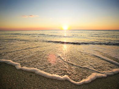 Value Priced Rental Studio At The Beach