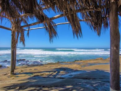 Charming 1 Bedroom Cottage in La Jolla Short Walk to Beach