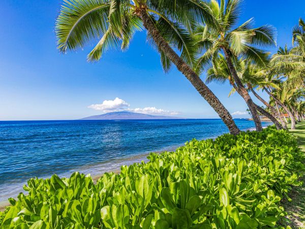 Oceanfront Maui Vacation Rental - Lahaina Condo with Lanai & Whale Watching