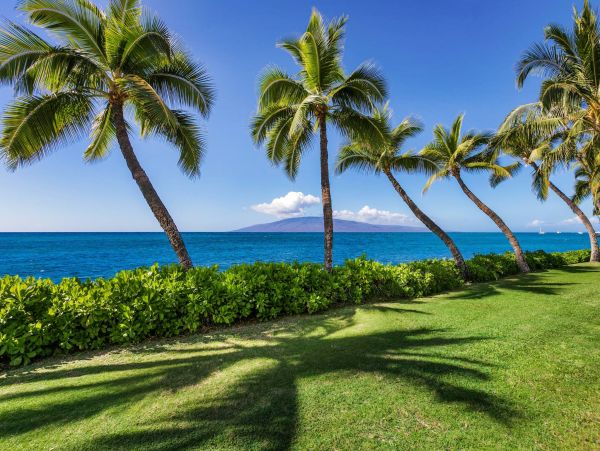 Oceanfront Maui Vacation Rental - Lahaina Condo with Lanai & Whale Watching