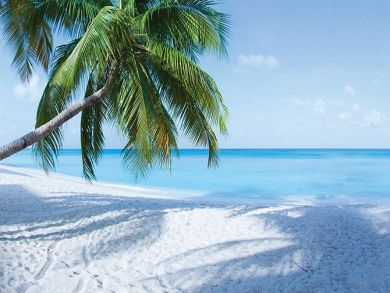 Private 4 Bedroom Beachfront Residence with Pool Sleeps 8