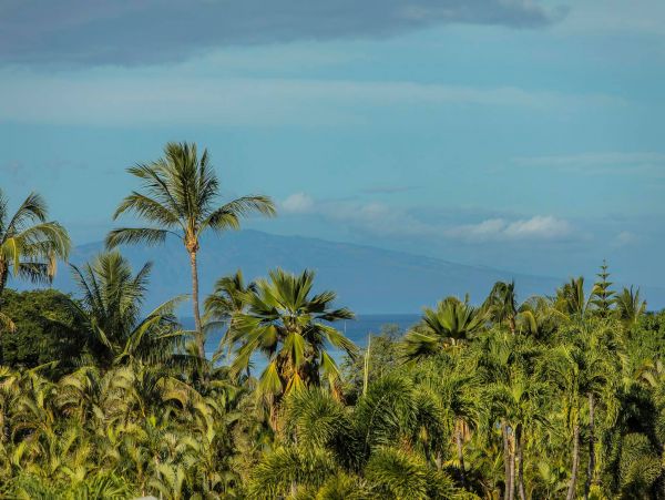 Wailea Vacation Resort Rental Condo Two Bedrooms