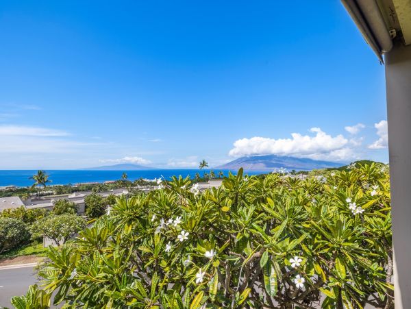 Wailea 180 Degree Views Luxury Rental 2 Bedroom Condo