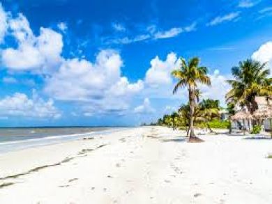 Fort Myers Beach Oceanfront 5 Bedrooms Plus Loft Rental Home - additional view, photo 2
