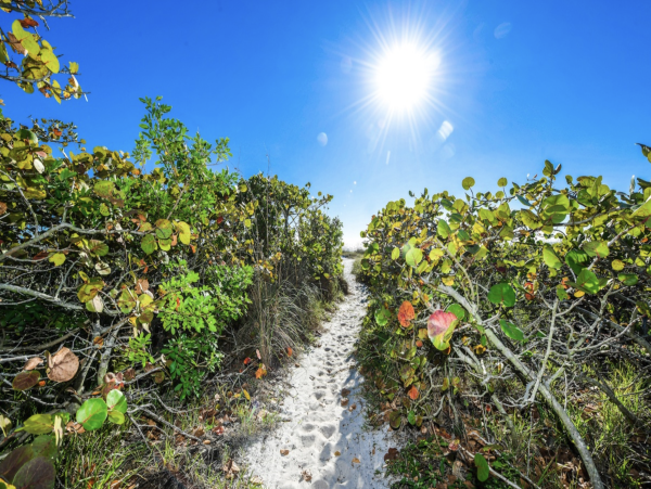 Anna Maria Island Vacation Rentals - Florida Gulf Coast Beach Homes with Pool & Spa