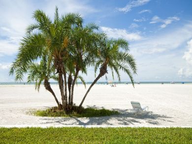 Beachfront One Bedroom Vacation Condo in Siesta Key
