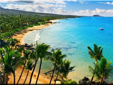 Kihei Vacation Ocean  Condo Sleeps Four Guests