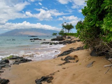 Kihei Vacation Ocean  Condo Sleeps Four Guests