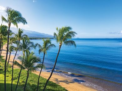Kihei Vacation Ocean  Condo Sleeps Four Guests