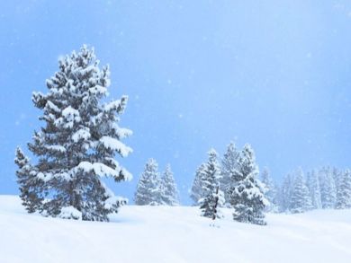 Aspen Luxury Vacation Rental Condo Two Bedrooms