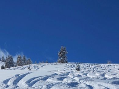 Aspen Luxury Vacation Rental Condo Two Bedrooms