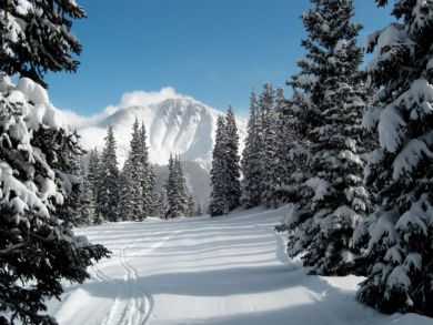 Aspen Luxury Vacation Rental Condo Two Bedrooms