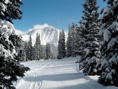 Aspen Luxury Vacation Rental Sleeps Six Guests