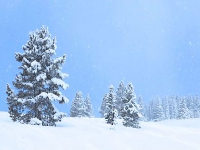 Aspen Luxury Vacation Rental Sleeps Six Guests