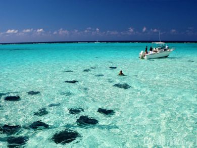 Cayman Island Vacation Cottage 2 Bedrooms Sleeps 7 Guests Cayman Island Vacation Cottage 2 Bedrooms Sleeps 7 Guests