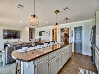 Beaches Of South Walton Home 928732