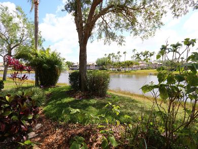 Bonita Springs Condo 928811