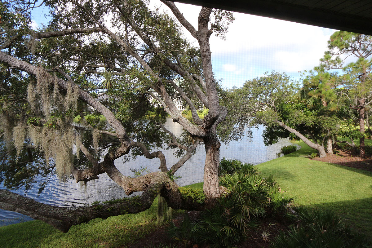 Bonita Springs Condo 928823