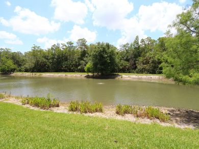 Bonita Springs Condo 928826
